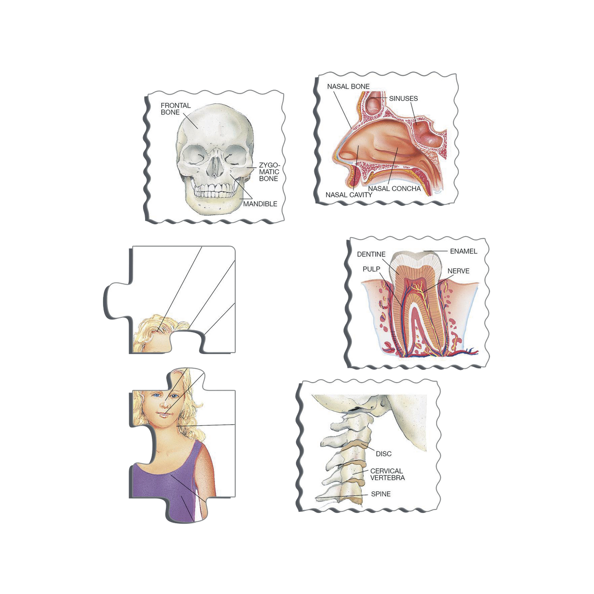 _int_102435_10.png