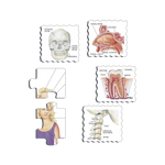 _int_102435_10.png