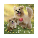 _int_335448_11.png