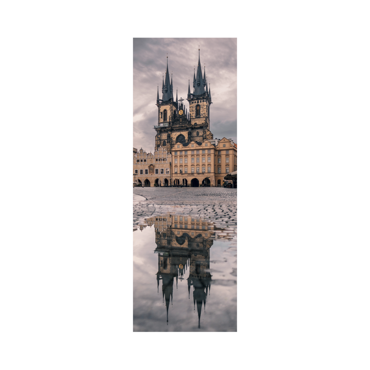 _int_345089_10.png