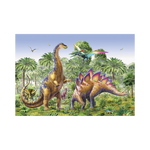 _int_381674_11.png