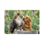 _int_381728_11.png