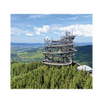 _int_383159_10.png