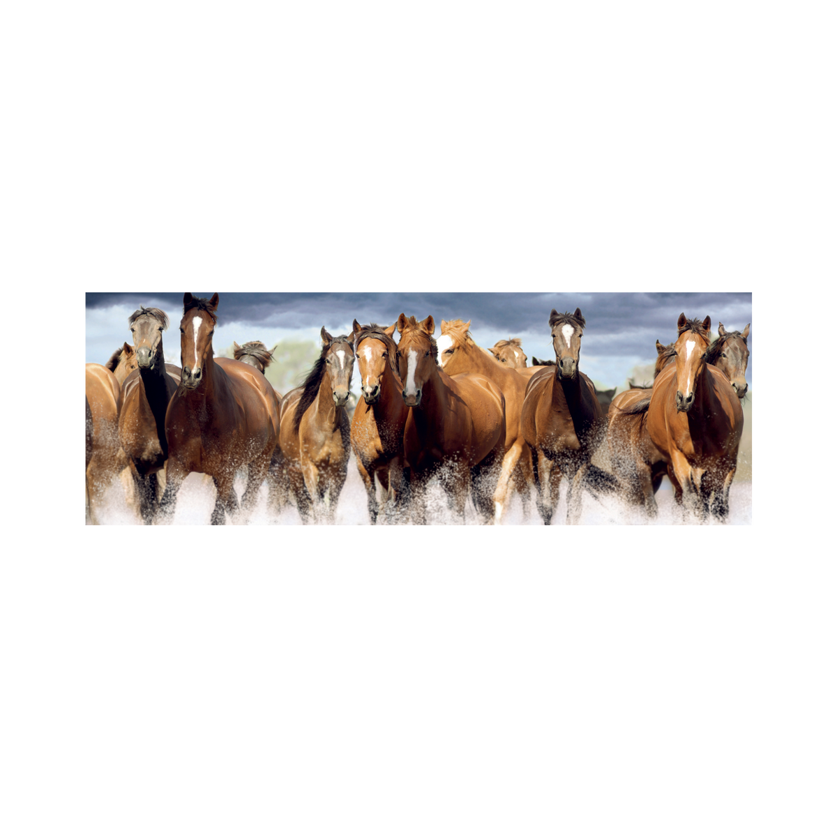 _int_393349_10.png