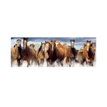 _int_393349_10.png