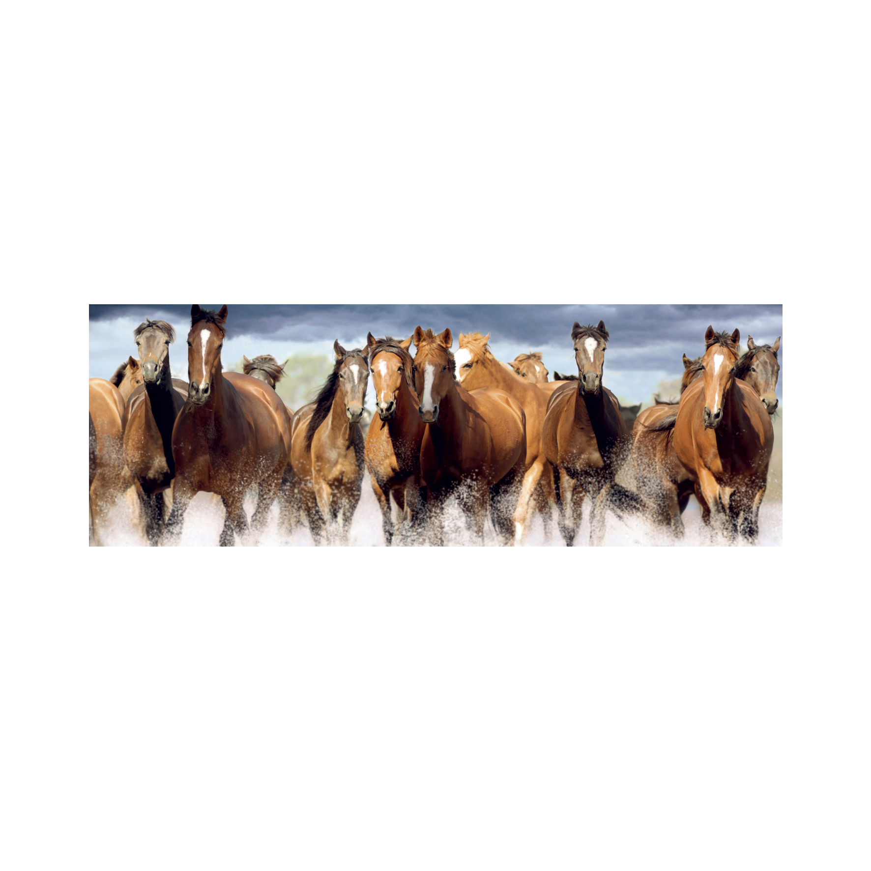 _int_393349_10.png