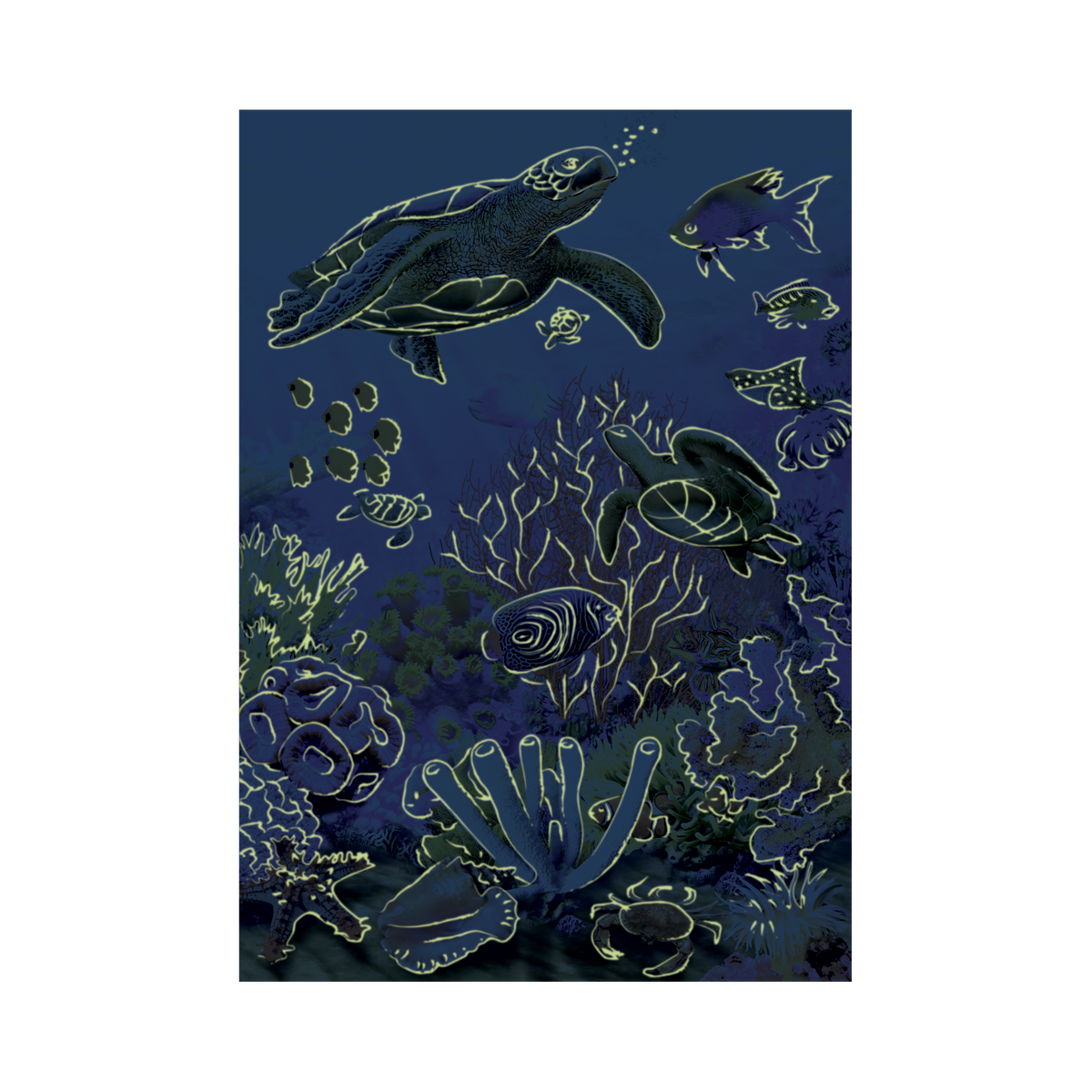 _int_394193_11.png