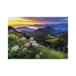 _int_502703_10.png