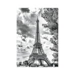 _int_502734_10.png