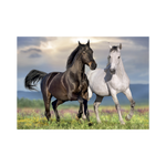 _int_502789_10.png