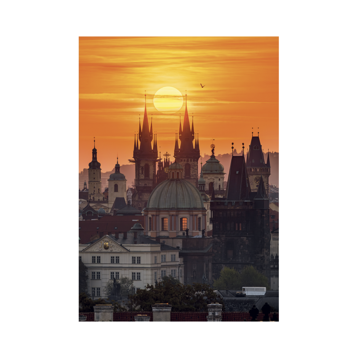 _int_503007_10.png