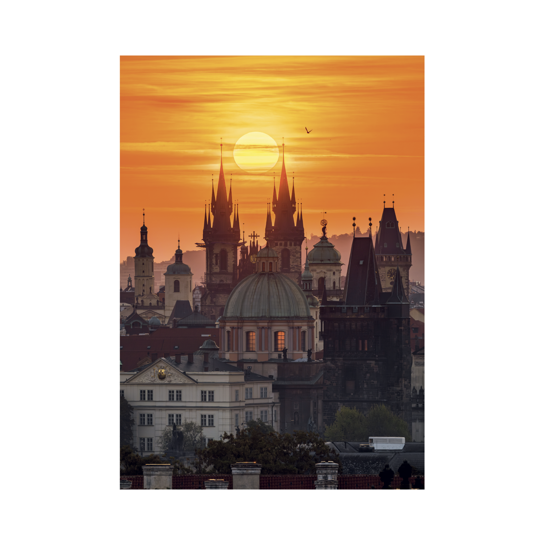 _int_503007_10.png