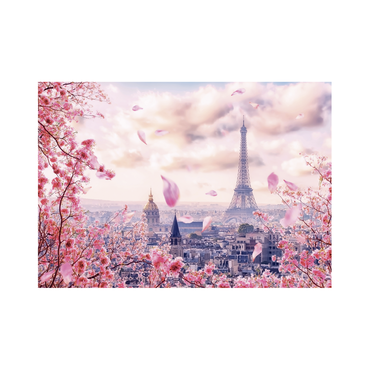 _int_503038_10.png