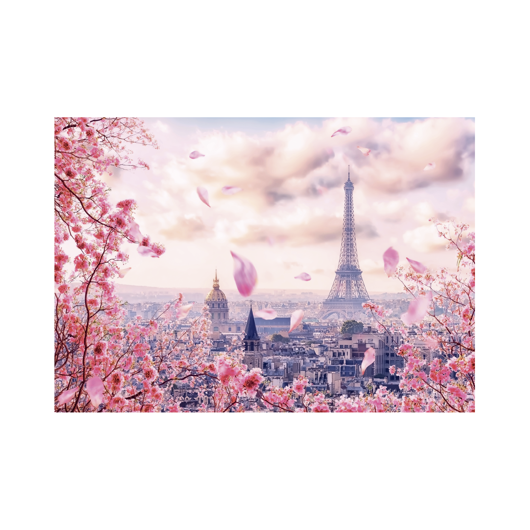 _int_503038_10.png