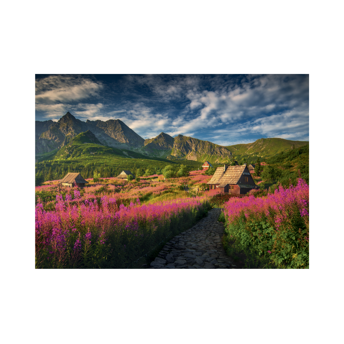 _int_533004_10.png