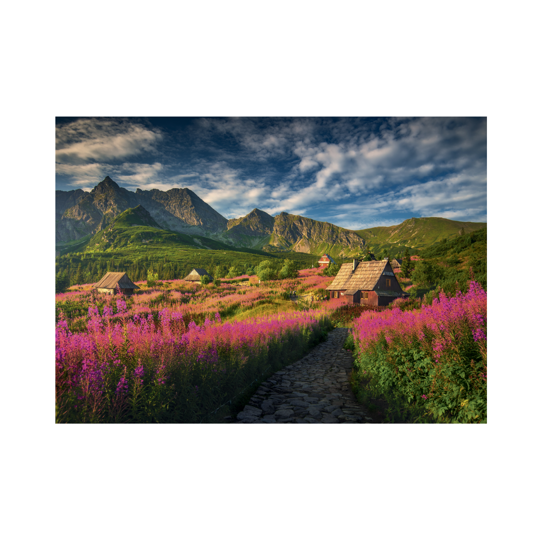 _int_533004_10.png