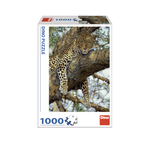 _int_533059_02.png