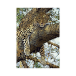 _int_533059_10.png
