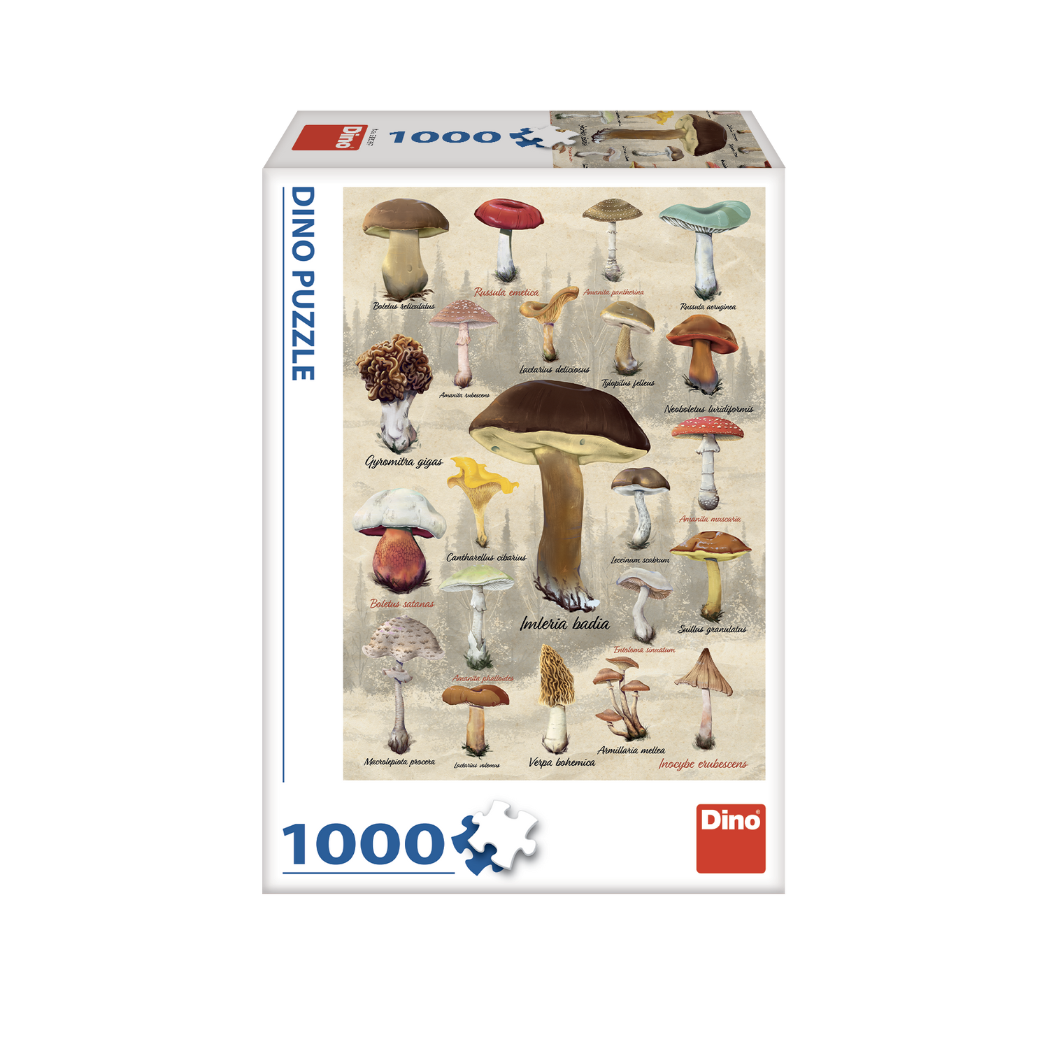 _int_533097_02.png
