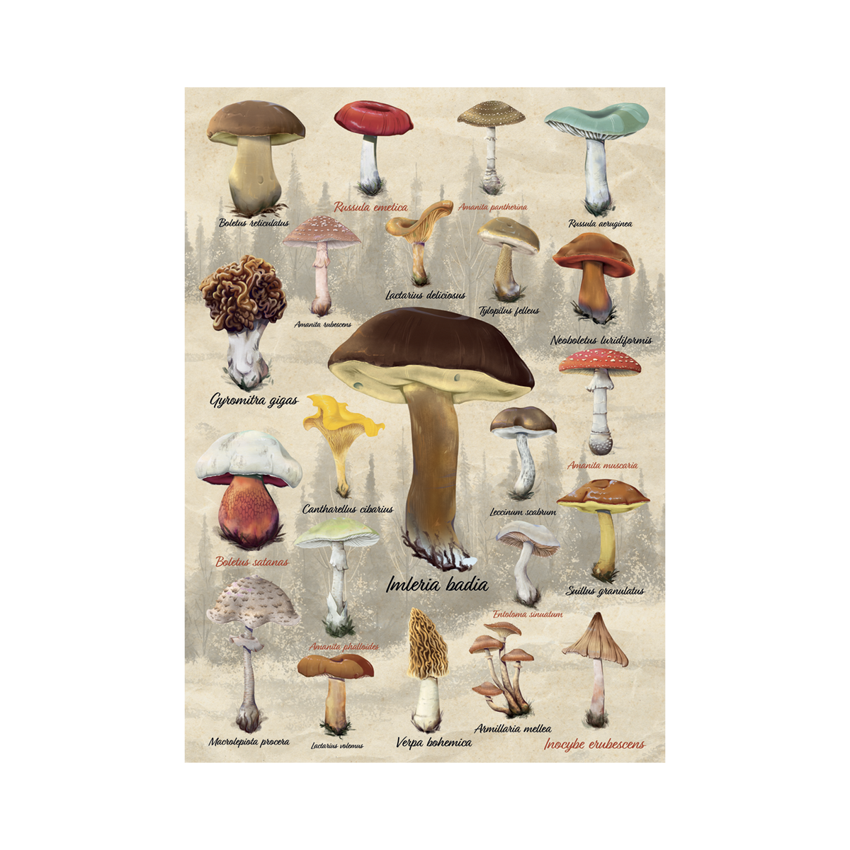 _int_533097_10.png