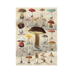 _int_533097_10.png