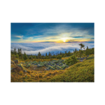 _int_533141_10.png