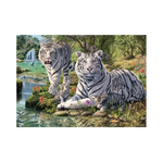 _int_533264_10.png