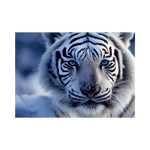 _int_533318_10.png
