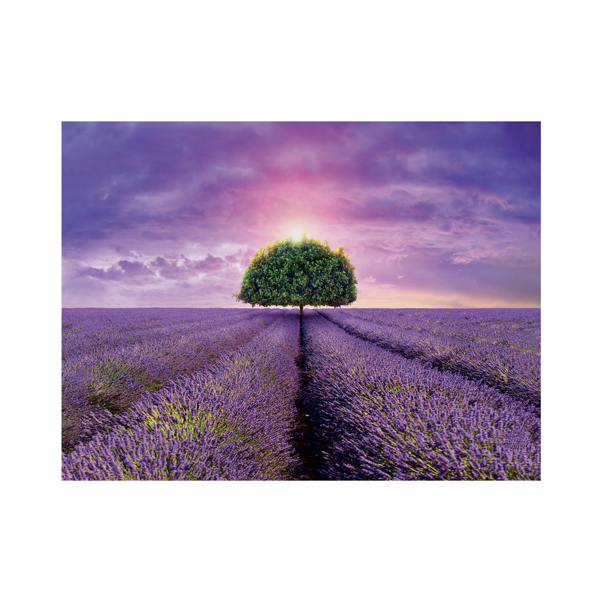 _int_561298_10.png