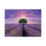 _int_561298_10.png