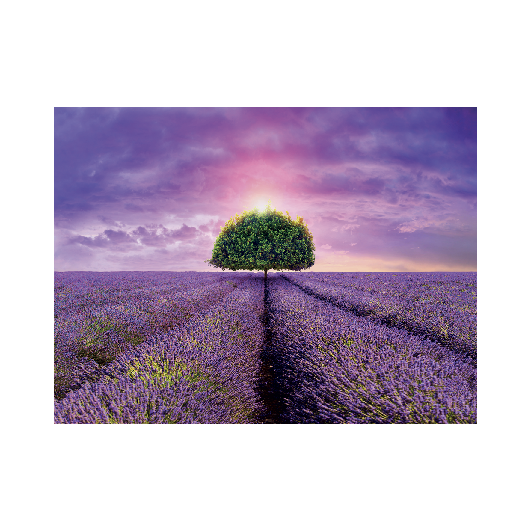 _int_561298_10.png