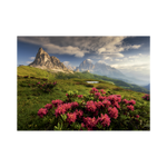 _int_561380_10.png