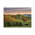 _int_563216_10.png