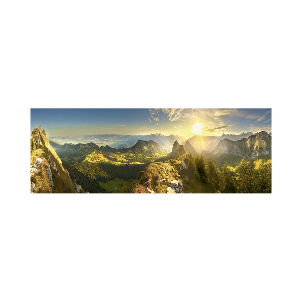 _int_565180_10.png