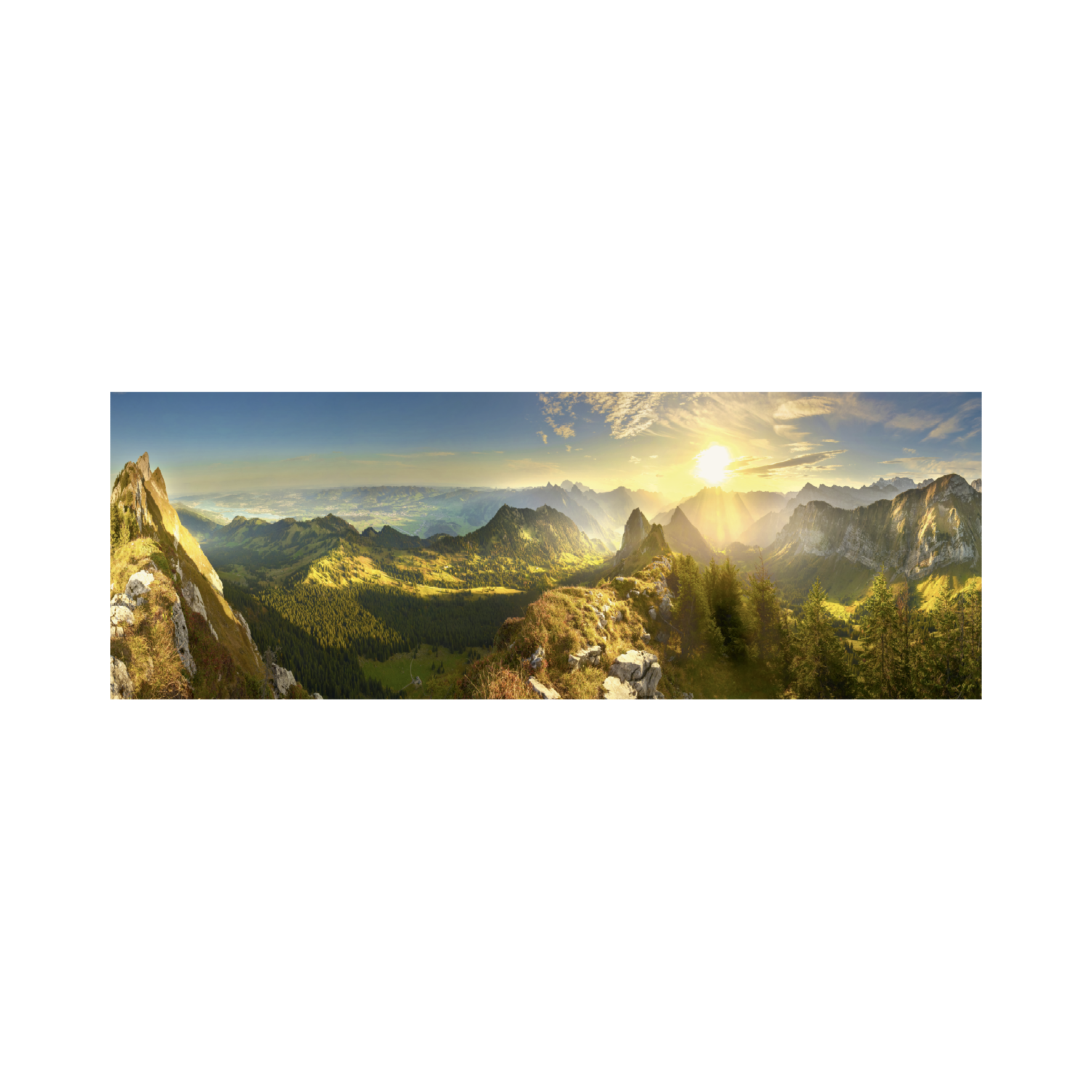 _int_565180_10.png