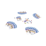 _int_622548_10.png