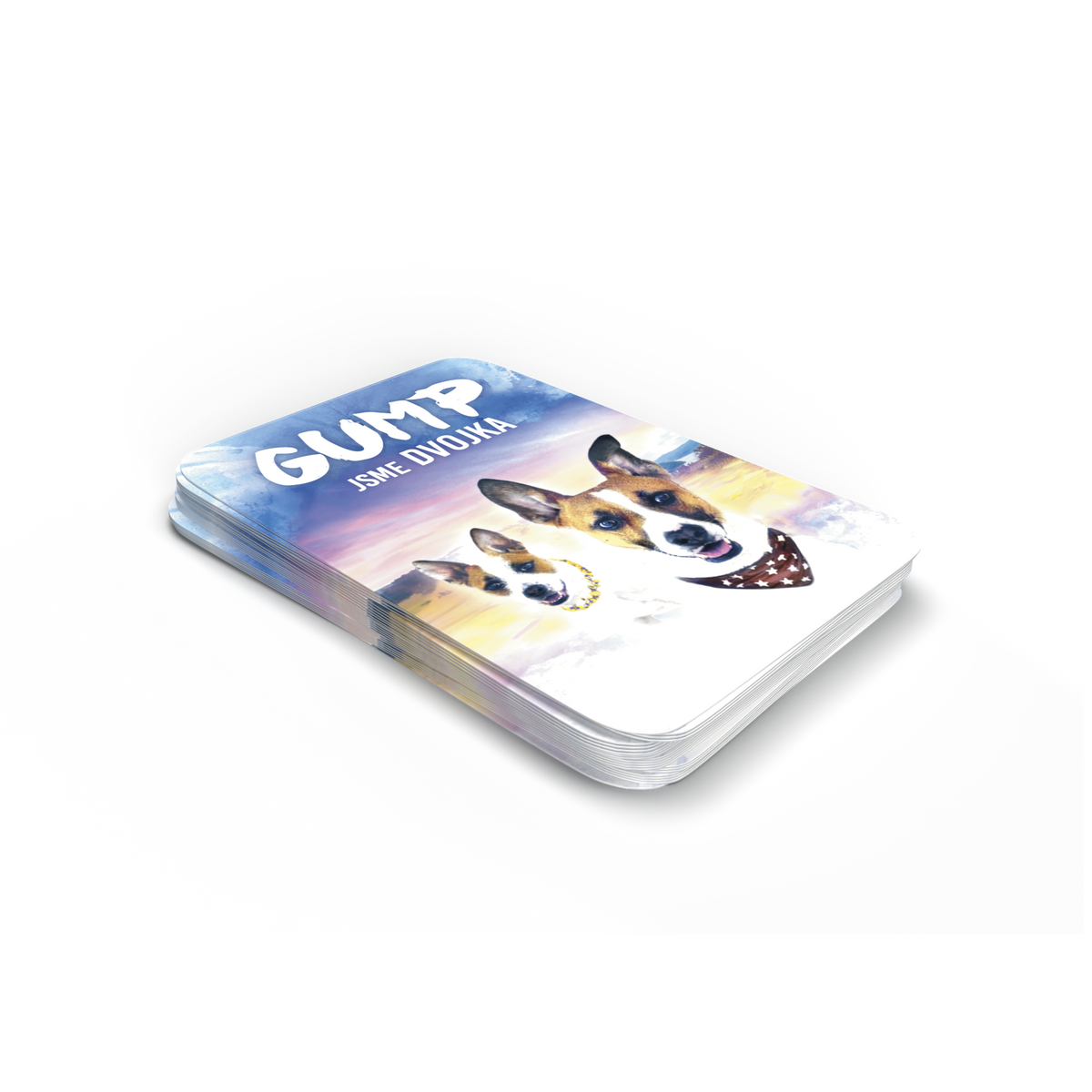 _int_622548_13.png