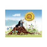 _int_641303_15.png