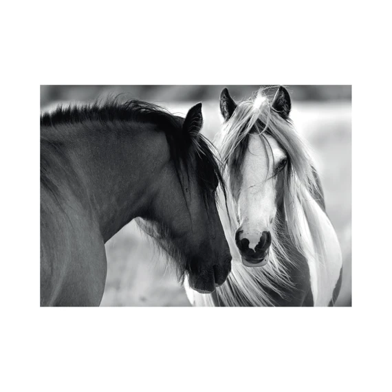 Puzzle Černobílí koně 1000 dílků - slide 3