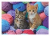 Puzzle Koťátka ve vlně 300 xl dílků - slide 3
