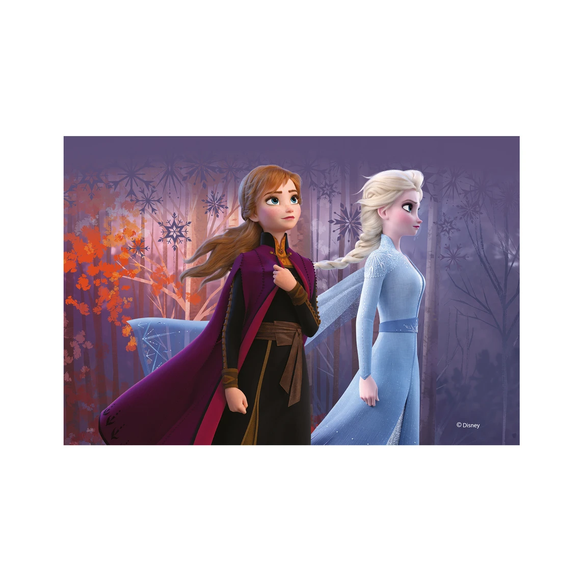 Dřevěné kostky Frozen II – 12 kostek - slide 12