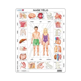 Naše tělo - Deskové vzdělávací puzzle