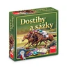 Dostihy a sázky - slide 2
