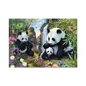 Puzzle Skryté pandy 1000 dílků secret collection - slide 3