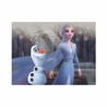 Dřevěné licenční kostky Frozen II – 12 kostek - slide 6