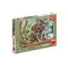 Puzzle koala s mláďátkem 300 xl dílků - slide 2