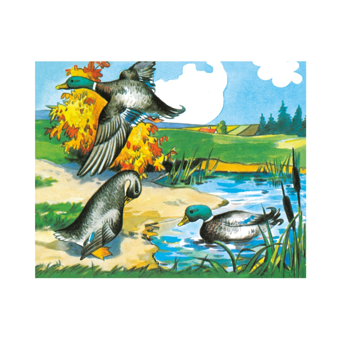 Dřevěné kostky Na statku – 20 kostiček - slide 11