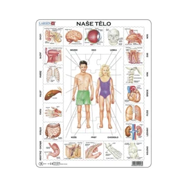 Naše tělo - Vzdělávací puzzle