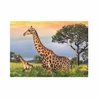Puzzle Žirafí rodina 1000 dílků - slide 3