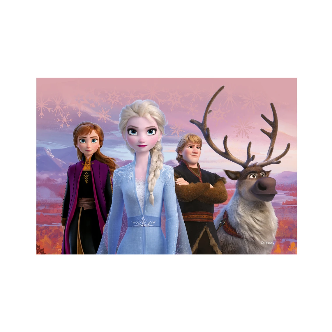 Dřevěné kostky Frozen II – 12 kostek - slide 7